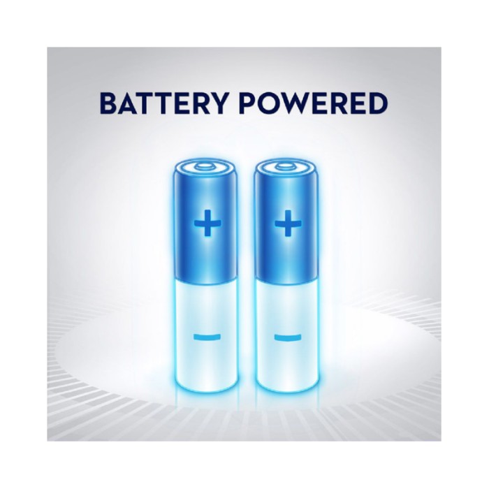 Oral-B Precision Clean Pro Battery Toothbrush