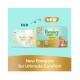 Pampers Premium Care Newborn Taped Diapers, Size 0, < 2.5kg, Softest Absorption for Ultimate Skin Protection, 30 Count