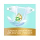 Pampers Ultimate Comfort Taped Diapers - Size 1 - 2 - 5 kg - 22 Pcs