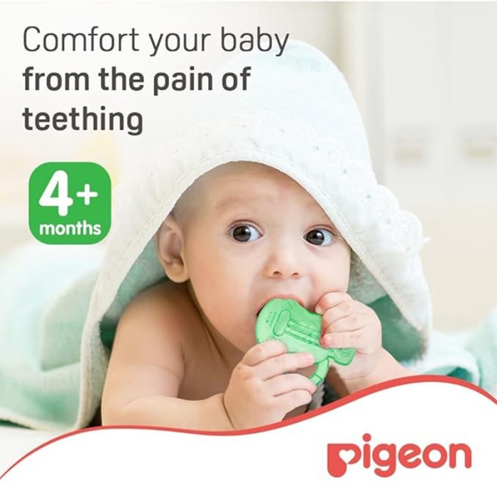 Pigeon Cooling Teether Guitar 13910