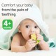 Pigeon Cooling Teether Star 13898