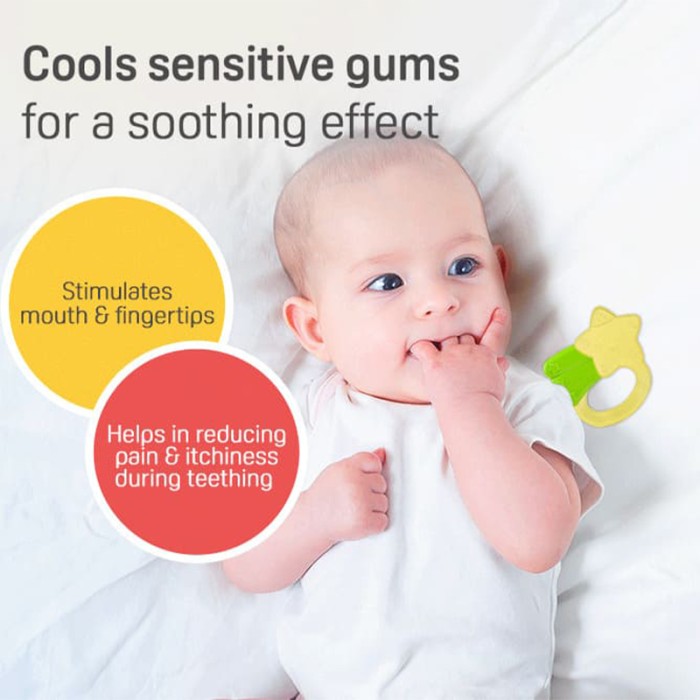 Pigeon Cooling Teether Star 13898