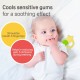 Pigeon Cooling Teether Star 13898