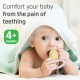 Pigeon Cooling Teether Traingle 13897