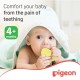 Pigeon Cooling Teether Trumpet 13911