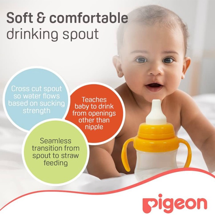 Pigeon Mag Mag Spout Cup 26164
