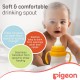Pigeon Mag Mag Spout Cup 26164