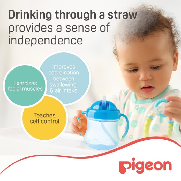 Pigeon Mag Mag Straw Cup Sky Blue 26167
