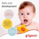 Pigeon Training Teether Step 2