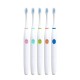 SPECTRUM Adult Rechargeable Sonic Toothbrush