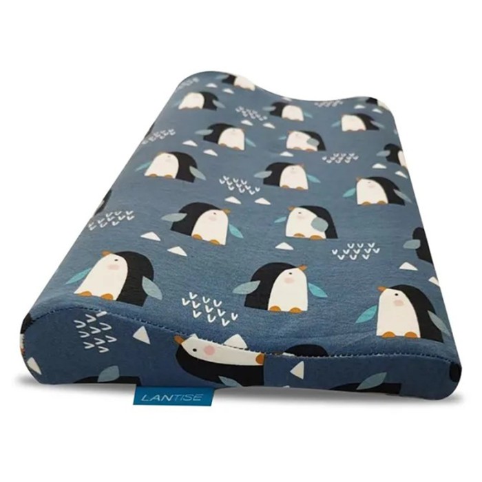 SPECTRUM Memory Foam Toddler Pillow