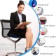 SPECTRUM Molded Ring Tailbone Pain Relief Pillow Dark Blue