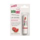 Sebamed SPF 30 Lip Defense - Watermelon - 4.8 g