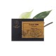 The Camel Soap Factory Arabian Milled Collection Vanilla Wood Milled Soap Bar 140g
