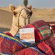 The Camel Soap Factory Camel Milk Nourishing Face Cream 50 ml