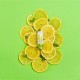 The Camel Soap Factory Lemon Lime Lip Balm with Camel Milk 10g