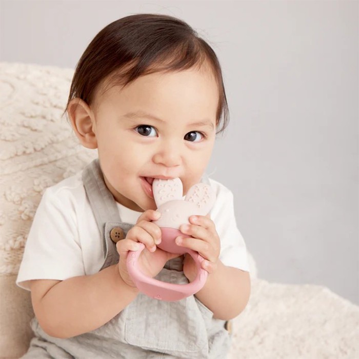 b.box Chill & Fill Teether Blush, Fillable & Chillable Water Teether