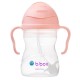 b.box Sippy Cup, Leak Proof & Easy Grip, Tutti Frutti 240ml/8oz