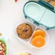 b.box Snackbox Mini Bento with 2 Leak Proof Compartments, Emerald Forest