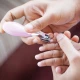 Babyjem Nail Scissors for Babies, Pink, 0 Months+