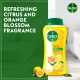 Dettol Jump SG Fresh 250ml