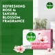 Dettol Soap Skincare 165gm