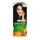 Garnier Color Naturals 2.1 Blue Black