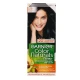 Garnier Color Naturals 2.1 Blue Black