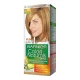 Garnier Color Naturals 7.3 Hazel Blond
