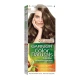 Garnier Color Naturals FR/GB/AR 6.1 Dark ash