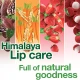 Himalaya Lip Balm Intensive Moisturizing Cocoa Butter 4.5 gms