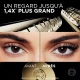 LOREAL PARIS Volume Million Lashes Panorama Mascara Volumizing Mascara Making Eyes Look 1.4x Bigger