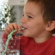 Melii Silicone Straws With Animals Clip Design & Cleaning Brush 6 pcs
