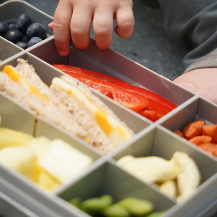 Melii Snackle Food Storage Container With Removable Divider Grey 4oz