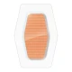 Nexcare Max Hold Waterproof Bandages, Assorted, 12/Pack