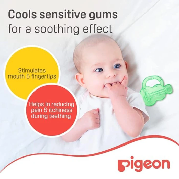 Pigeon Cooling Teether Guitar 13910