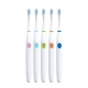SPECTRUM Adult Rechargeable Sonic Toothbrush