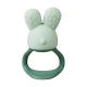 b.box Chill & Fill Teether Sage, Fillable & Chillable Water Teether